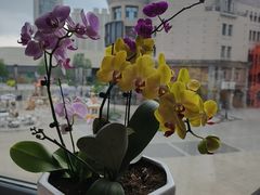 -黑宝石西餐厅(汇励99城市公园店)