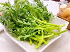 皇帝菜-围炉夜话·潮汕卤水火锅(榕江店)