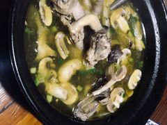 -呼吸森林·生态农庄农家乐私房菜