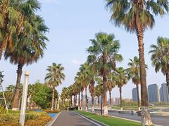 -金沙湖公园
