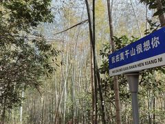 -莫干山风景区