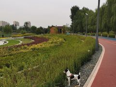 -绿堤公园