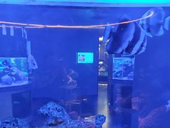 -上和臻品中国菜(花园街店)