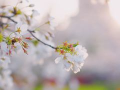 -新天地活力PARK