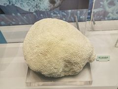-天津自然博物馆
