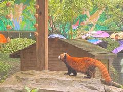 -黔灵山公园