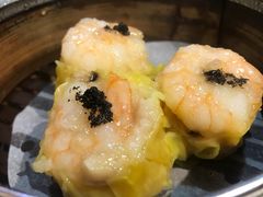 -糖朝(尖沙咀店)