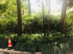 -申粤轩酒楼·三十年粤菜经典(丁香花园店)