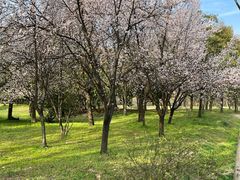 -蜀冈西峰生态公园