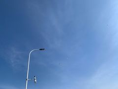 -丁香湖公园