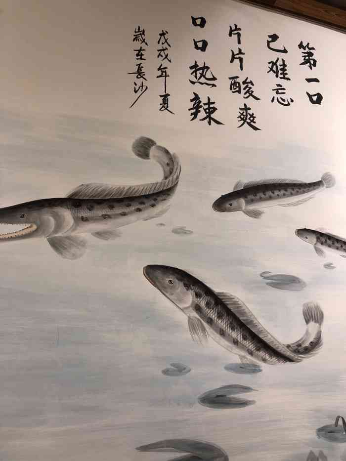 鱼众不同养生乌鱼主题餐厅(新城新世界店)-"在某app上买了两斤黑鱼.