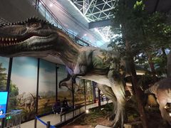 -湖南省地质博物馆