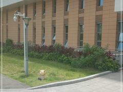 -佛山市妇幼保健院(新城院区)