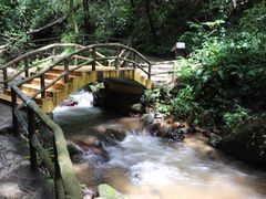 -莫里热带雨林景区