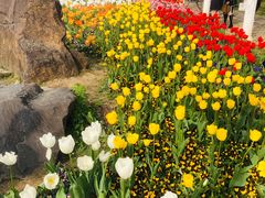 -苏州上方山国家森林公园