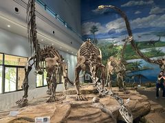 -自贡恐龙博物馆