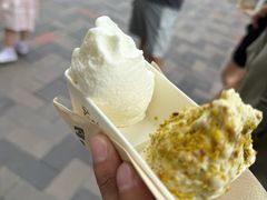-野人先生现做冰淇淋(北京顺义祥云小镇店)