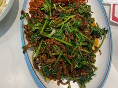 -老昌春饼(迅驰广场店)