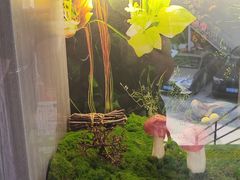 -七采菌园·野生菌石锅鱼(环城北路店)
