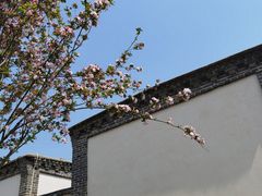 -李家庄村