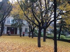 -山东师范大学(千佛山校区)