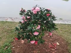 -广东药科大学(广州校区大学城校园)