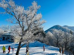 -亚布力新体委滑雪场
