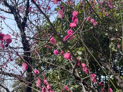-茂南拉面馆(雨花新村店)