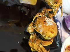 -松哥油焖大虾(皇岗一店)