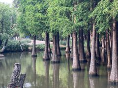 -捞渔河湿地公园