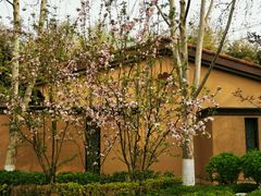 -春晖园度假酒店温泉