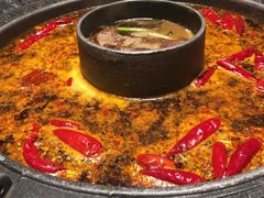 -杨肥肠小火锅(跃进路店)