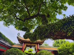 -宝墨园景区
