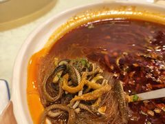 -高坎一品甲鱼庄(两河店)