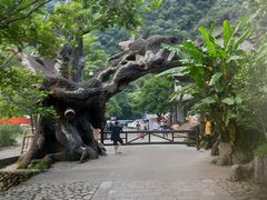 -龙湾潭国家森林公园