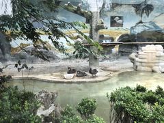 -成都动物园