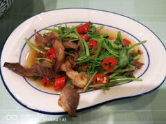 香菜卤牛肉-刘氏三和面馆