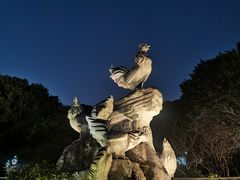 -金鸡山公园