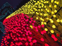 -长春公园(普阳街道)