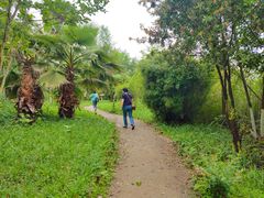 -桤木河湿地公园