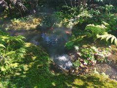 -Chom Cafe and Restaurant