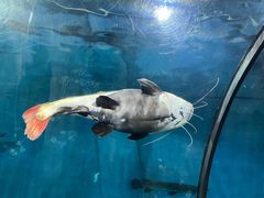 -苏州海洋馆