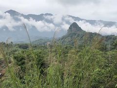 -嘉定紫藤园