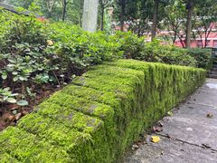 -岳麓山风景名胜区