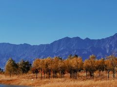 -野鸭湖国家湿地公园