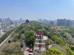 -黄鹤楼公园(黄鹤楼)