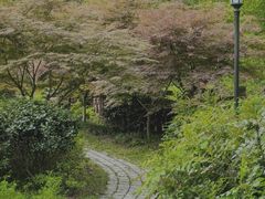 -素山寺森林公园