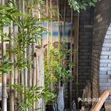 江南菜馆