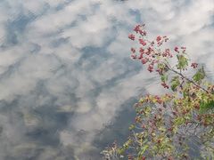 -丹东天桥沟景区