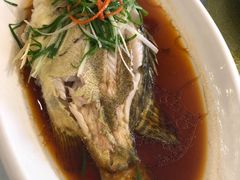 -老人和饭店(淮海中路店)